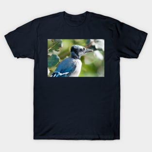 A Beak Full T-Shirt